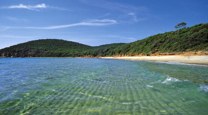 Mille violini suonati…dalla spiaggia