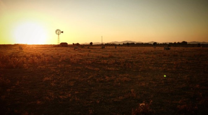 Il parco della Maremma compie 40 anni